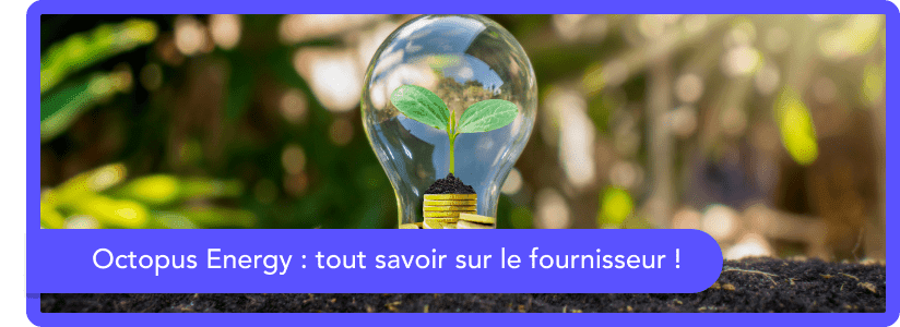 Octopus Energy France : tout savoir sur le fournisseur !