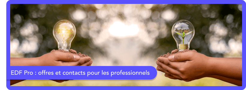EDF Pro : Tout savoir sur les services d'EDF pour les professionnels